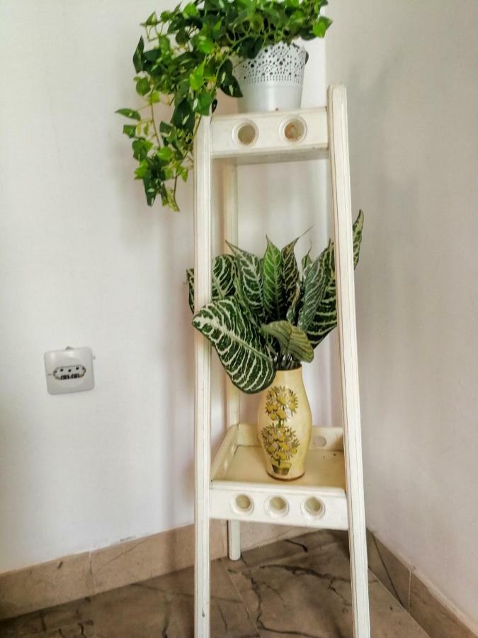 Apartman Damir Sumartin Ngoại thất bức ảnh